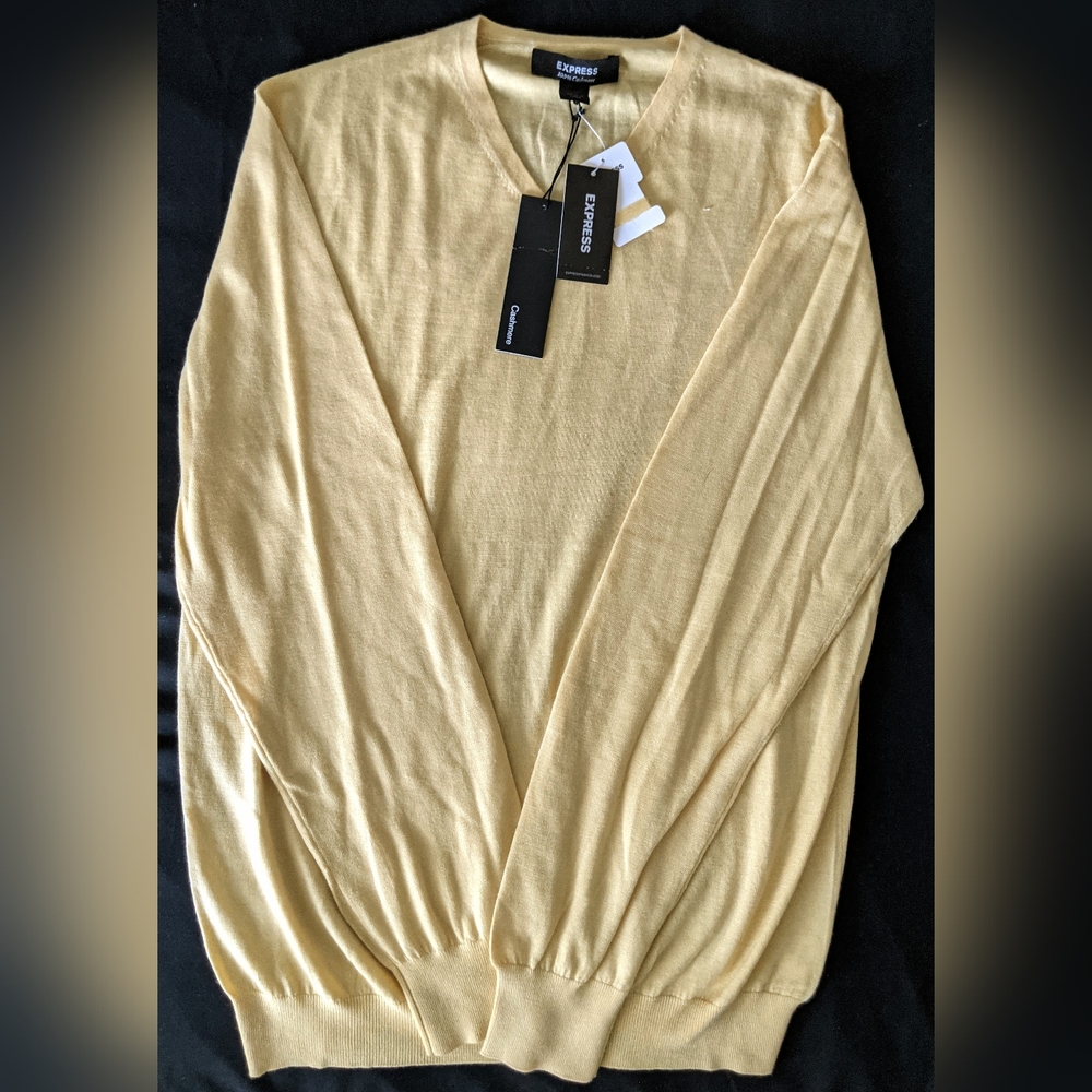 Express Men's 100% cashmere sweater